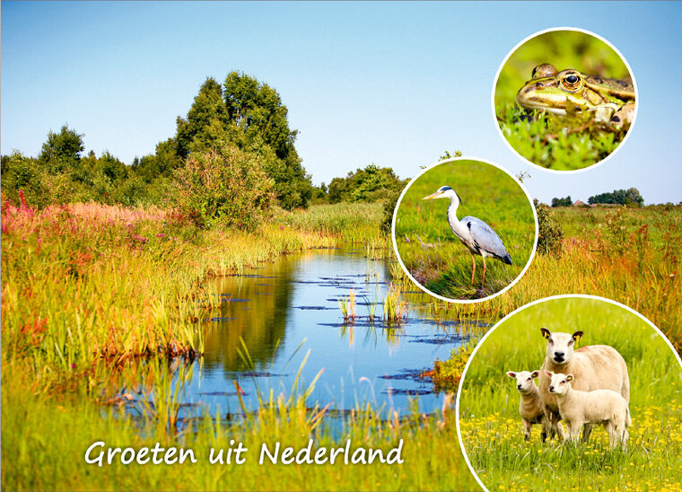 ansichtkaarten Nederland - set met 9 kaarten + flyer Postcrossing hoe werkt het (nr. 100)