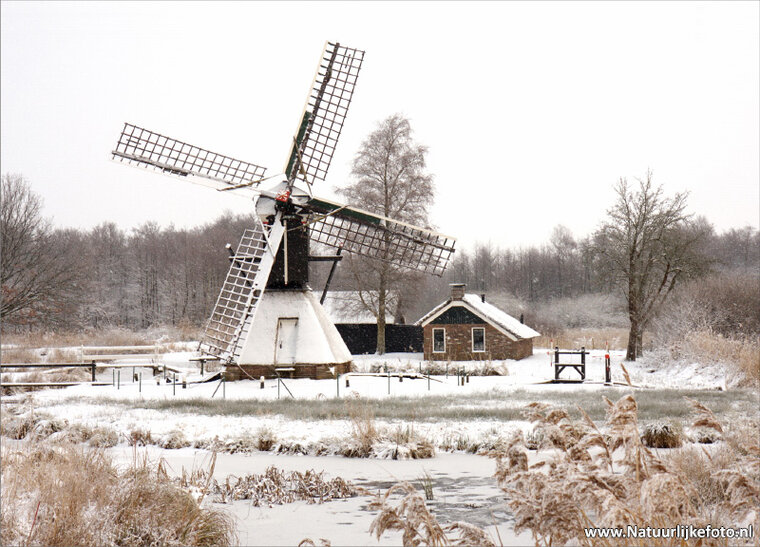 molen ansichtkaarten - set met 12 molenkaarten (nr. 64)