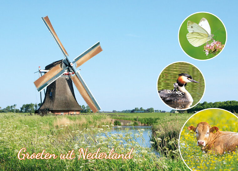 Postcrossing kaarten - set met 8 kaarten voor Postcrossing (nr. 77)