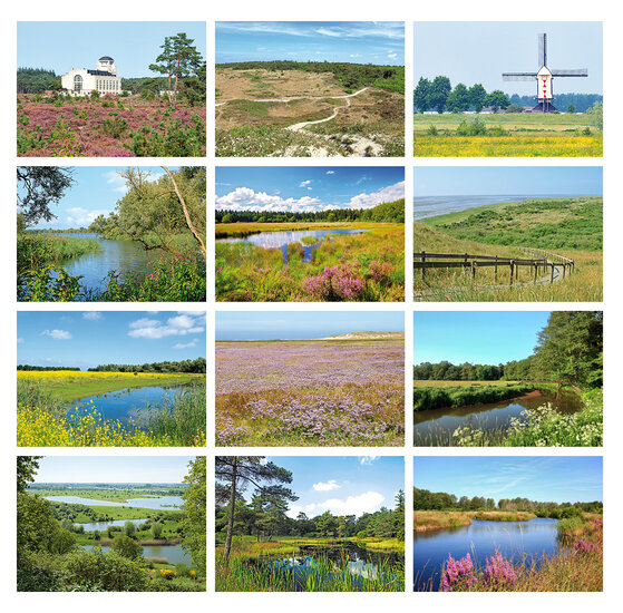 Nederland ansichtkaarten - set met 12 landschap kaarten (nr. 91)