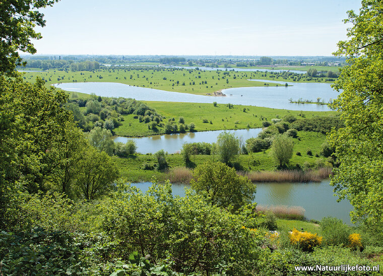 Nederland ansichtkaarten - set met 12 landschap kaarten (nr. 91)