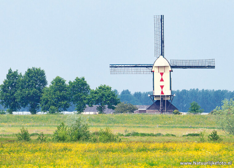 Nederland ansichtkaarten - set met 12 landschap kaarten (nr. 91)