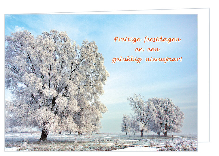 Luxe kerstkaarten 2025-2026 - set van 30 gevouwen kaarten met enveloppen (set nr. 104)