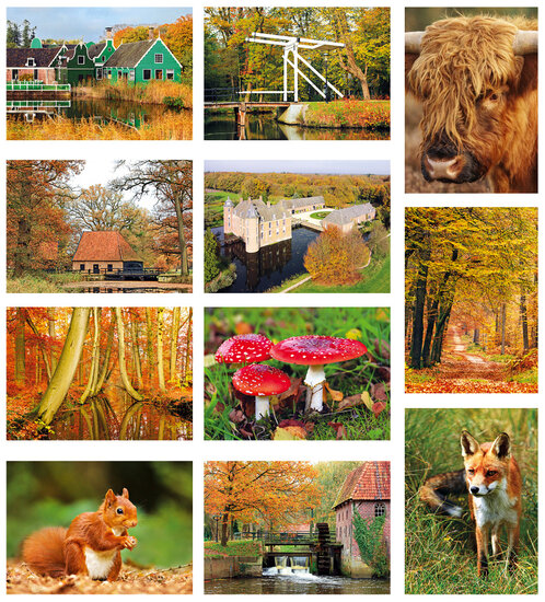 Herfst kaarten - set met 11 herfstkaarten (nr. 34)