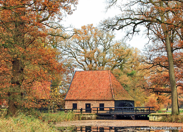 Herfst kaarten - set met 11 herfstkaarten (nr. 34)