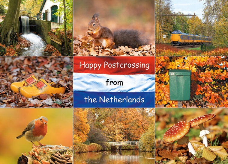 ansichtkaart Happy Postcrossing - herfst (HP003)