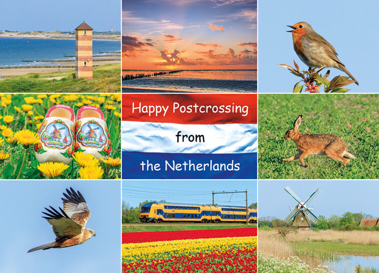 ansichtkaart Happy Postcrossing (HP005)