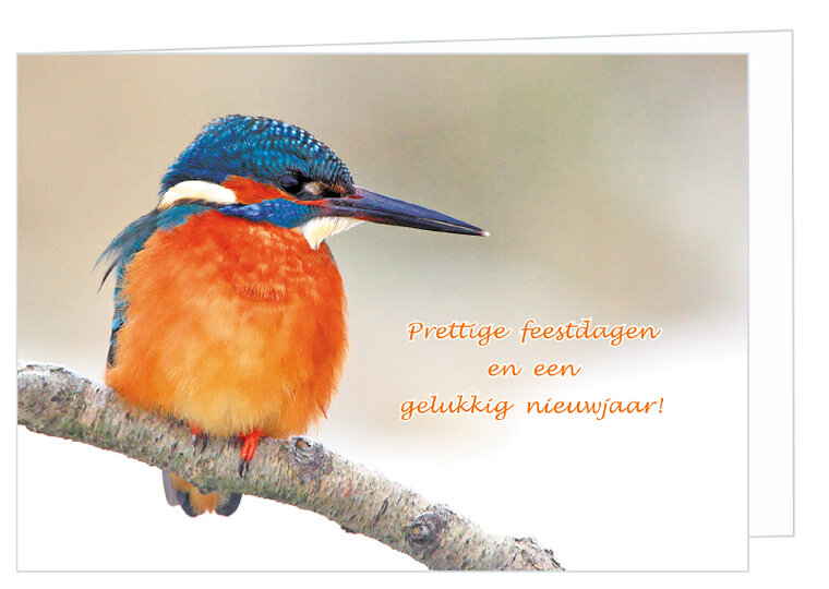 Luxe kerstkaart vogels - ijsvogel - dubbele kaart met envelop (K004)