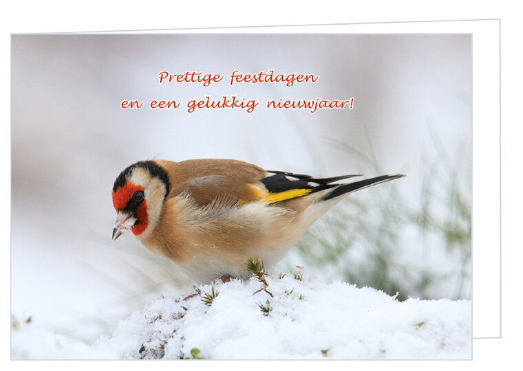 Luxe kerstkaart vogels - putter - dubbele kaart met envelop (K008)