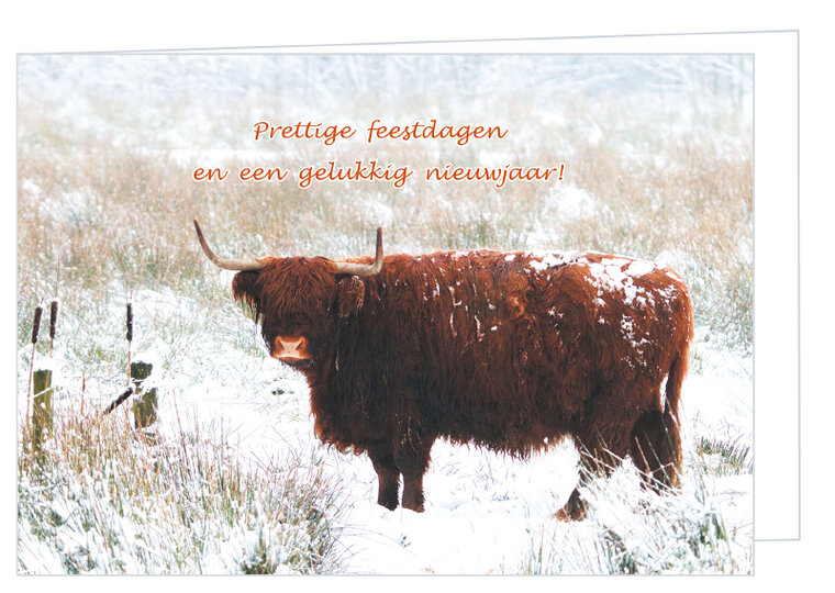 Luxe kerstkaart Schotse hooglander - dubbele kaart met envelop (K011)