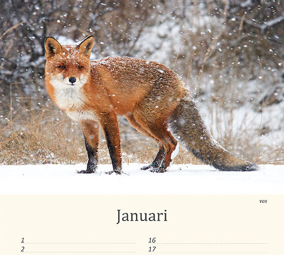 Verjaardagskalender dieren