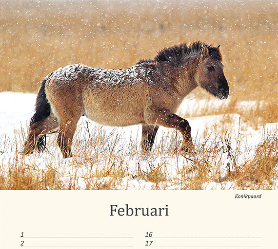 Verjaardagskalender dieren