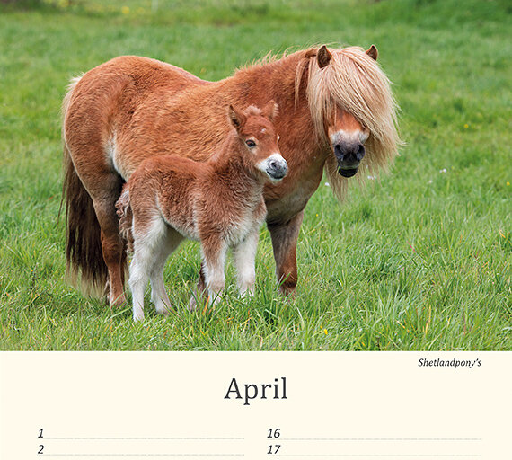 Verjaardagskalender dieren