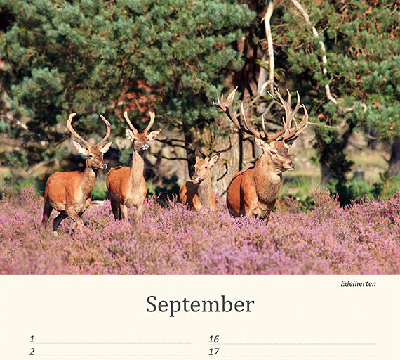 Verjaardagskalender dieren