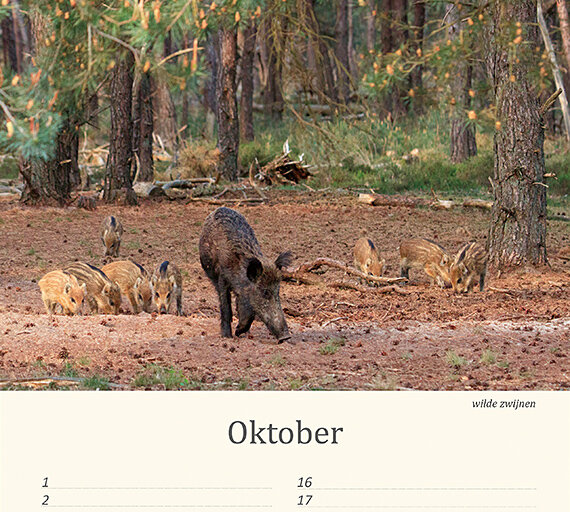 Verjaardagskalender dieren
