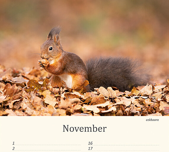 Verjaardagskalender dieren
