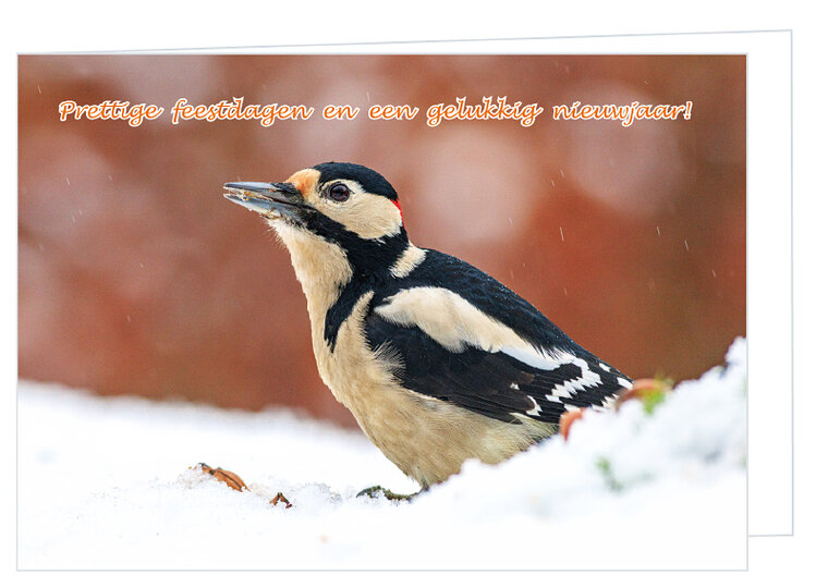 Luxe kerstkaart vogels - grote bonte specht - dubbele kaart met envelop (K019)