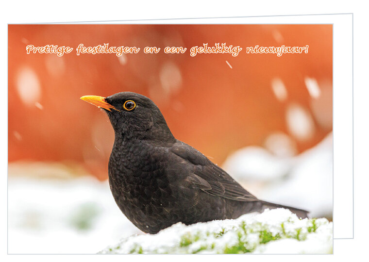 Luxe kerstkaart vogels - merel - dubbele kaart met envelop (K020)