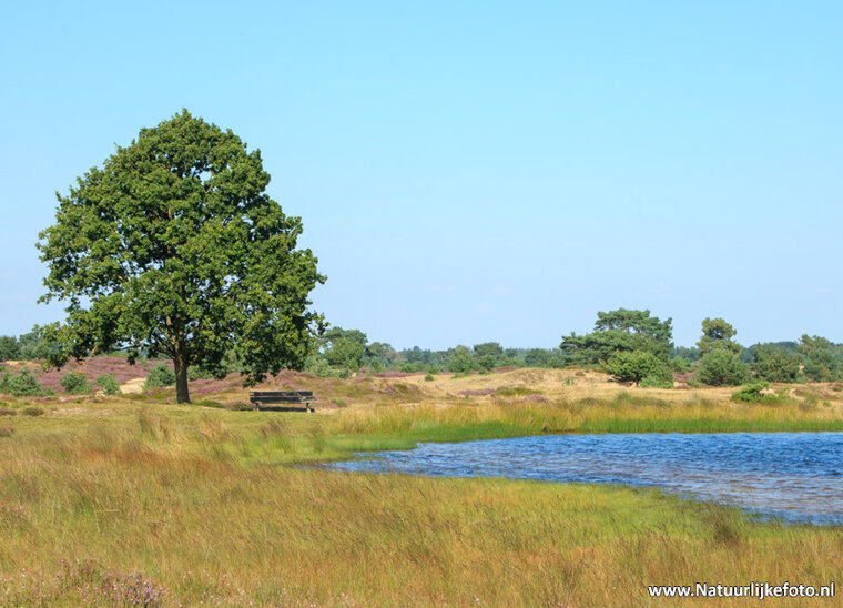 Fotografie workshop Appelscha