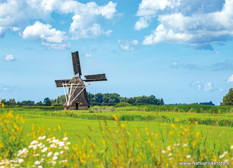 Fotografie workshop Leeuwarden