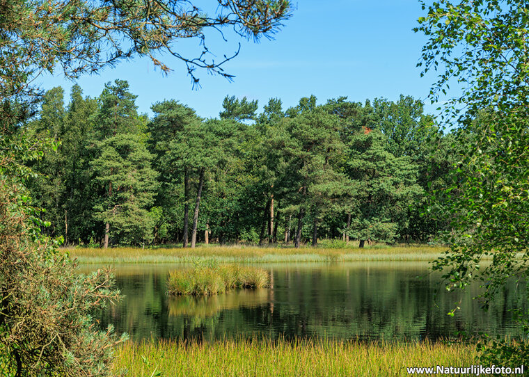 Fotografie workshop Beilen
