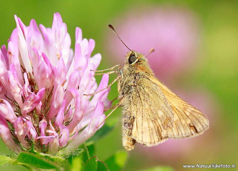 Fotografie workshop Assen