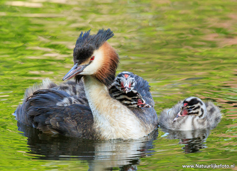 Fotografie workshop Assen
