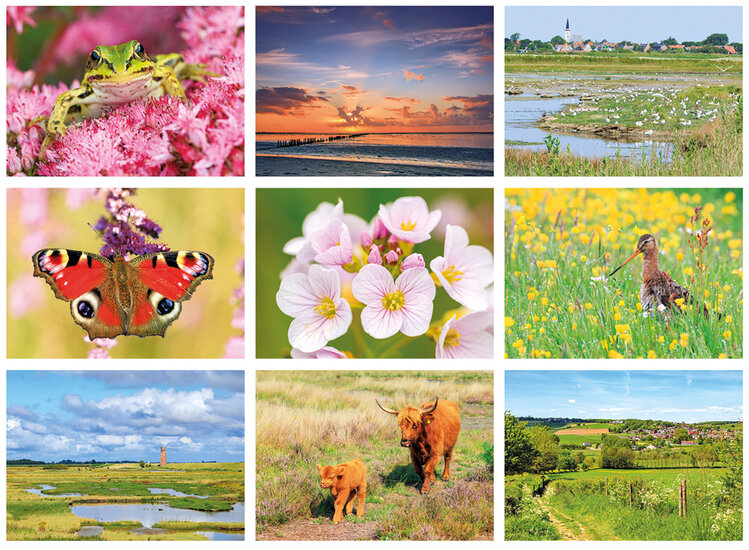 Natuur ansichtkaarten set - ideaal voor Postcrossing - set met 9 natuur kaarten (nr. 133)