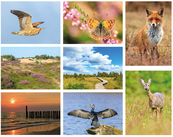 Natuur ansichtkaarten set - ideaal voor Postcrossing - set met 8 natuur kaarten (nr. 134)