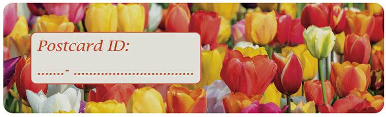 Postcrossing postcard ID stickers - 6x tulpen (S024) Postcrossing postcard ID stickers - 6x tulpen (S024)