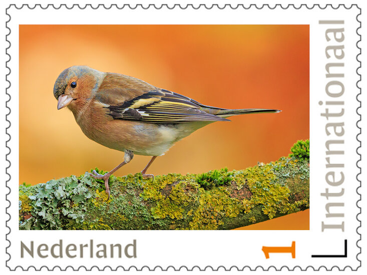 Postzegels 5 x Internationaal vink (PI50)