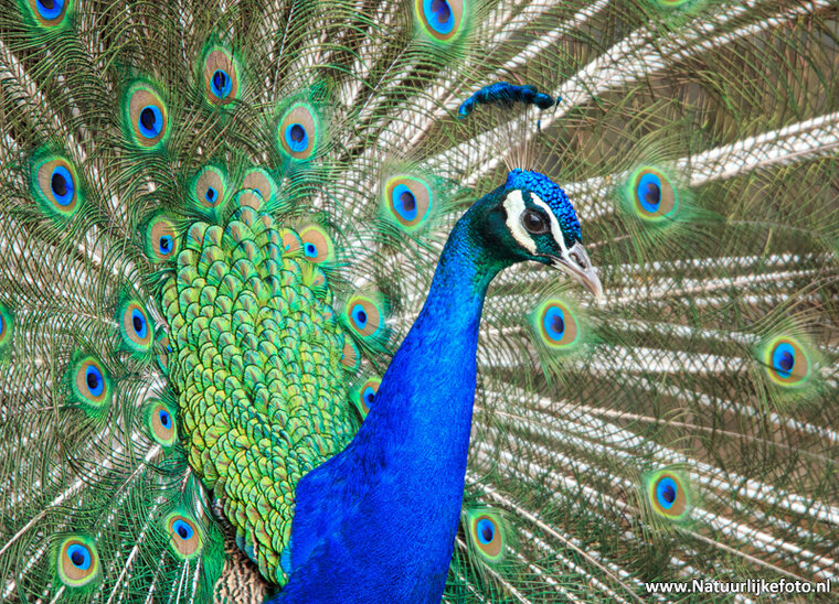 Fotografie workshop Groningen | Fotografie cursus Groningen