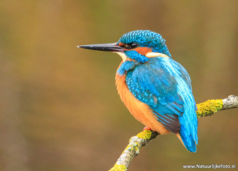 Fotografie workshop Groningen | Fotografie cursus Groningen