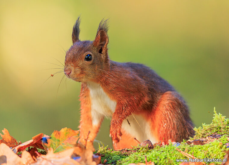 Fotografie workshop Drenthe | Fotografie cursus Drenthe