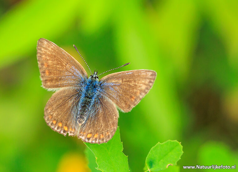 Fotografie workshop Drenthe | Fotografie cursus Drenthe