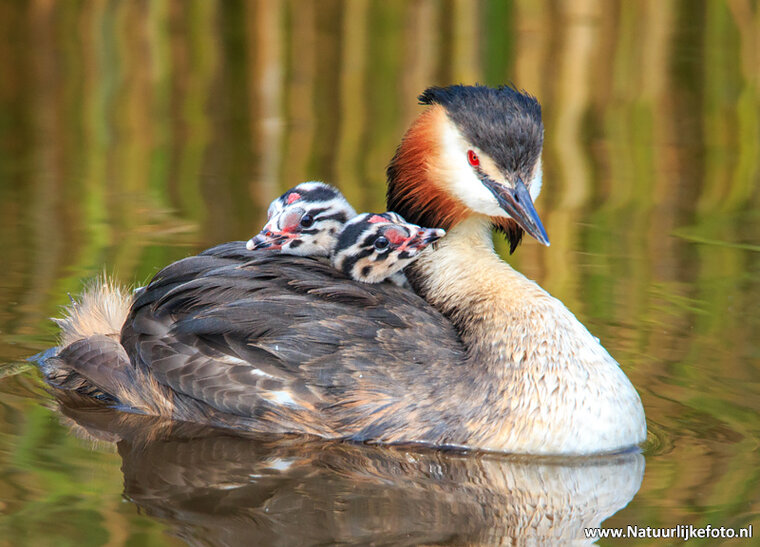 Fotografie workshop Drenthe | Fotografie cursus Drenthe