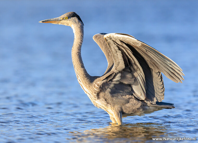 Fotografie workshop Hoogeveen | 	Fotografie cursus Hoogeveen