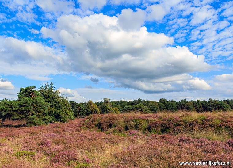 Fotografie workshop Hoogeveen | 	Fotografie cursus Hoogeveen
