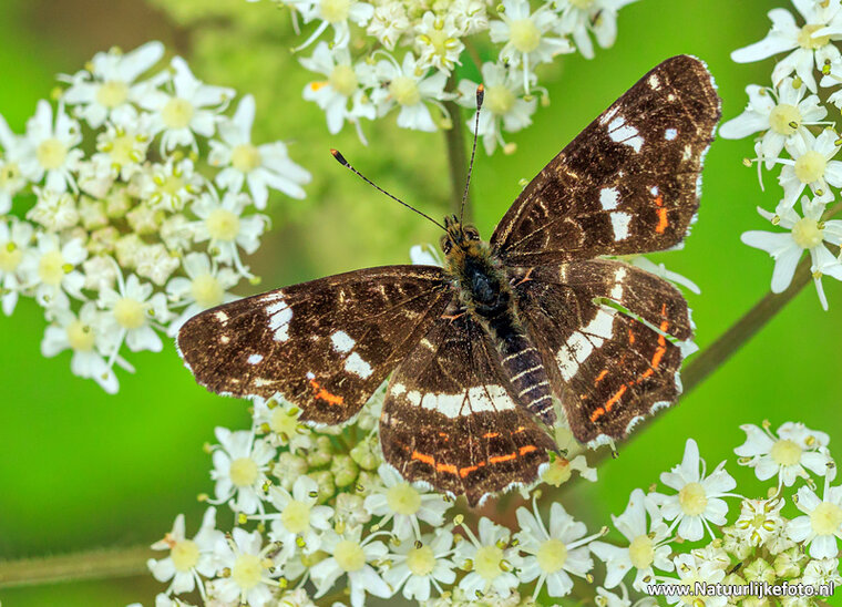 Fotografie workshop Hoogezand | Fotografie cursus Hoogezand