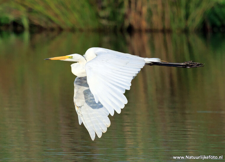 Fotografie workshop Hoogezand | Fotografie cursus Hoogezand