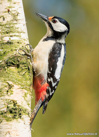 Fotografie workshop Haren | cursus fotografie Haren