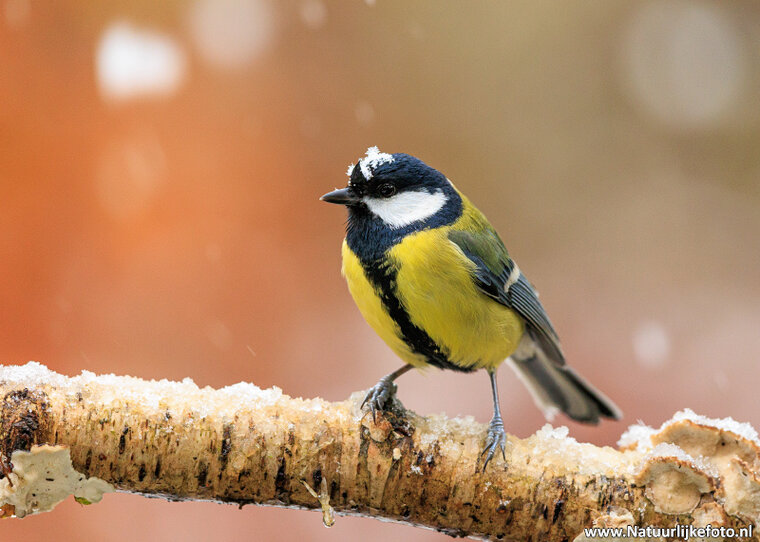 Fotografie workshop Hoogezand | Fotografie cursus Hoogezand