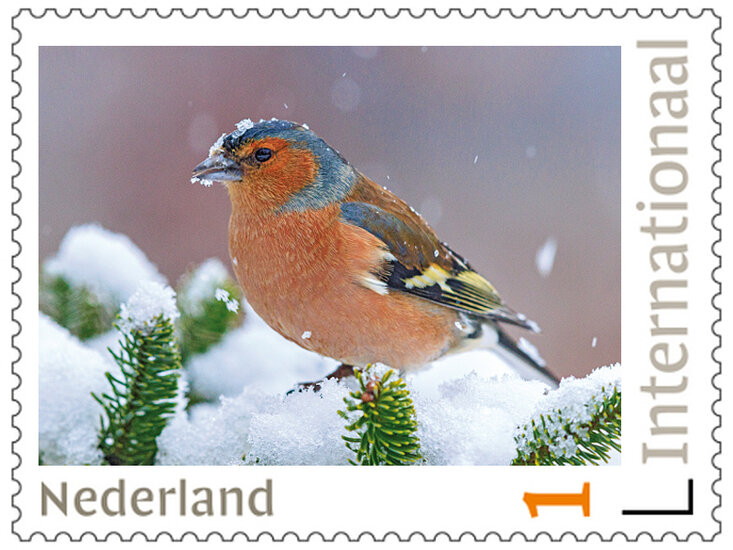 Postzegels 5 x Internationaal vink (PI53)