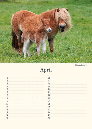 Verjaardagskalender dieren