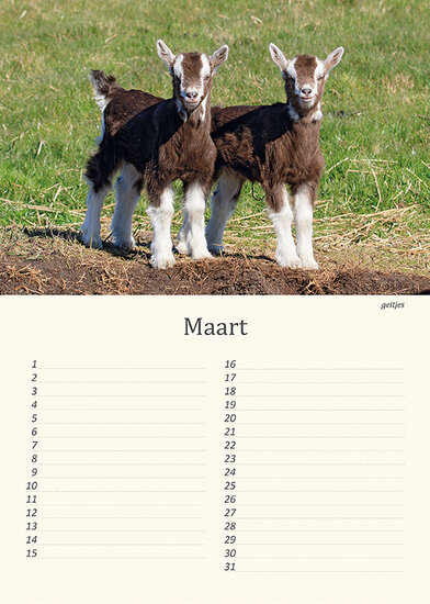 Verjaardagskalender dieren