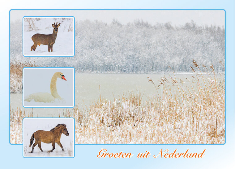 ansichtkaart groeten uit Nederland - winter 