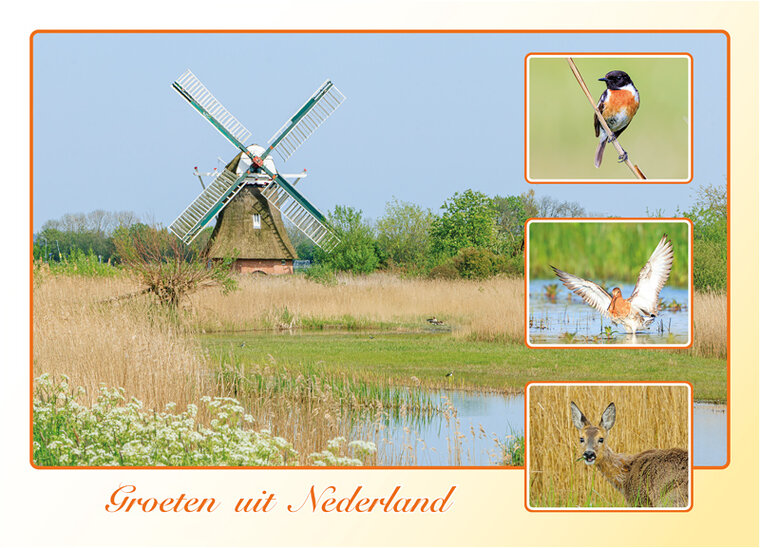 ansichtkaart groeten uit Nederland - lente