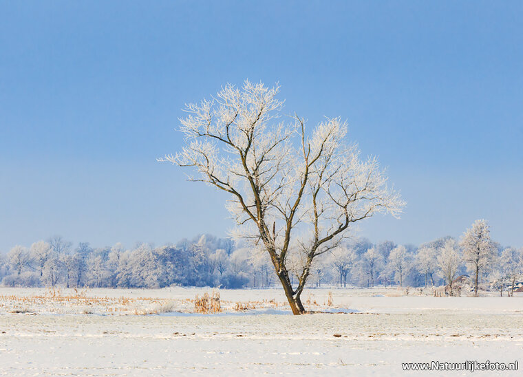 ansichtkaart winters landschap