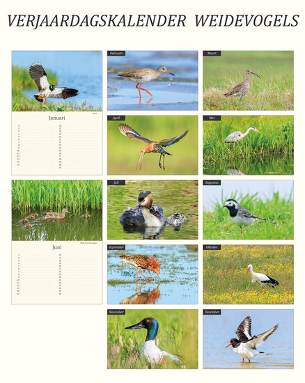Verjaardagskalender vogels