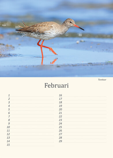 Verjaardagskalender vogels